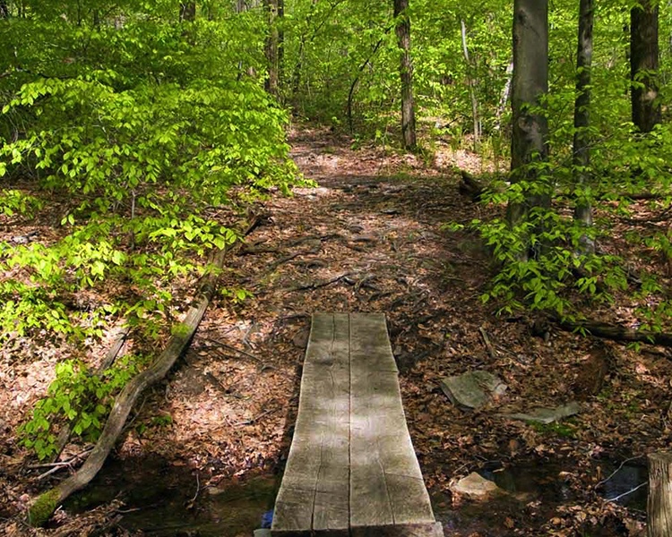 Fusfoo - Exploring the Laurel Highlands: The Laurel Highlands Hiking Trail